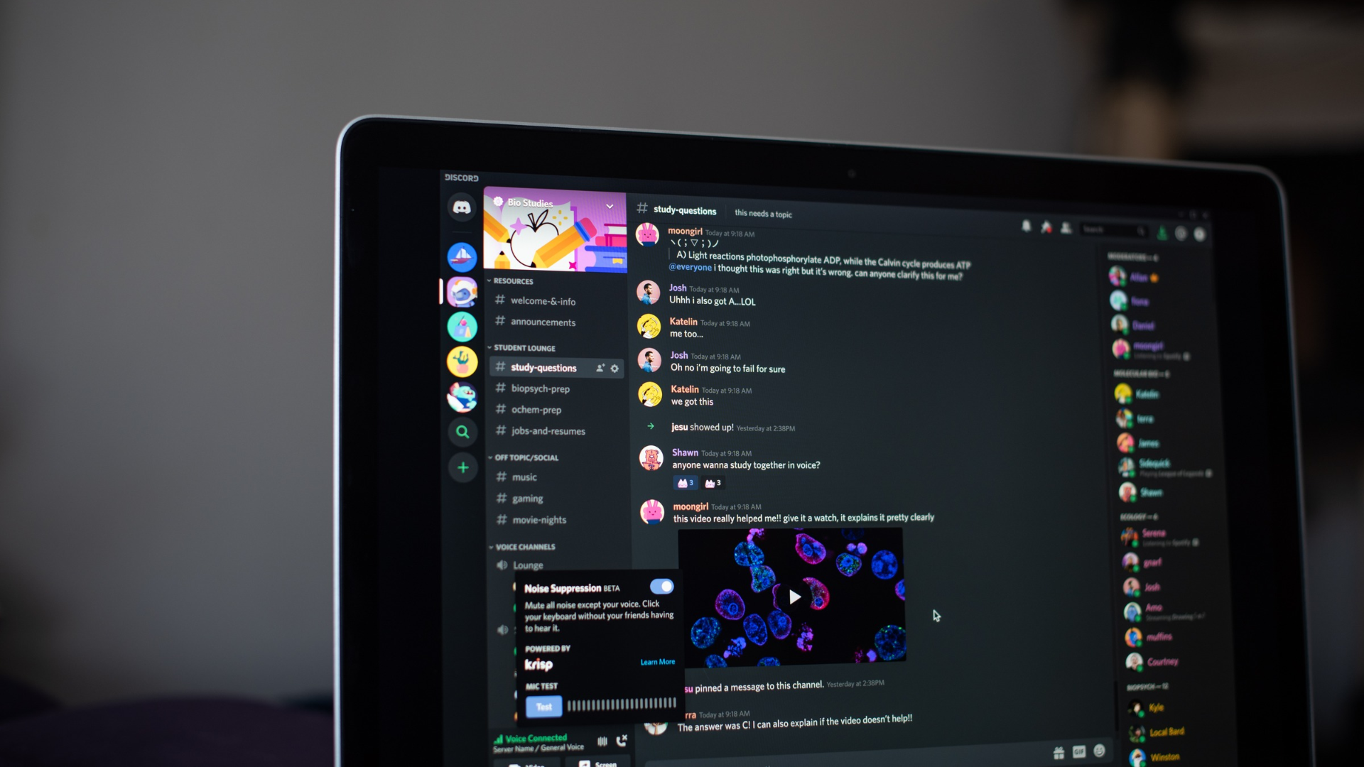 Your Discord messages will soon be discoverable on Google Search, but ...