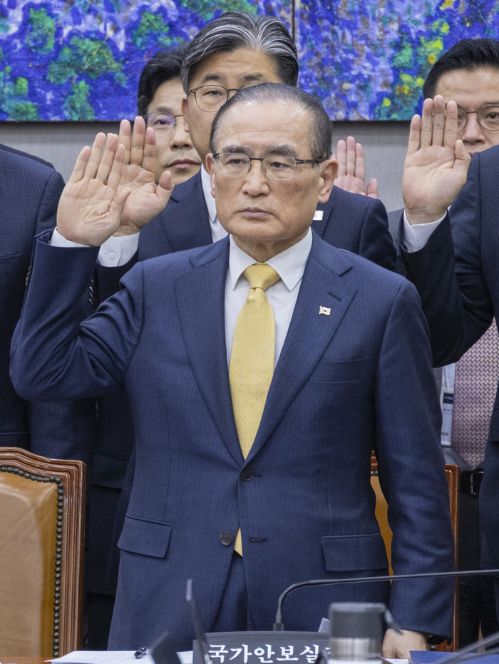 Security adviser at parliamentary audit