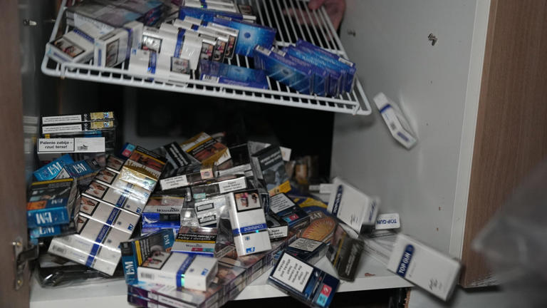 Inside the raid where dog finds hidden cigarette stash
