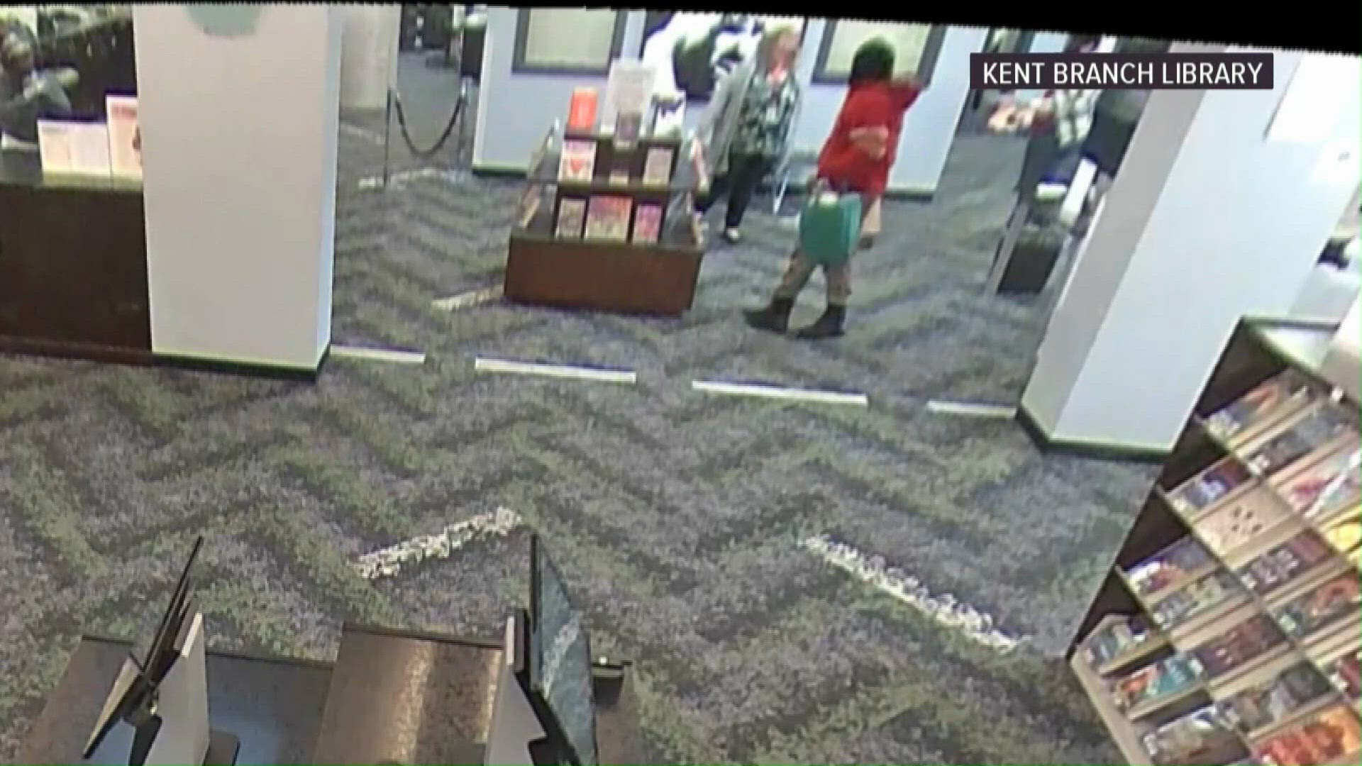 Person throws box infested with cockroaches at librarian; bugs cause ...