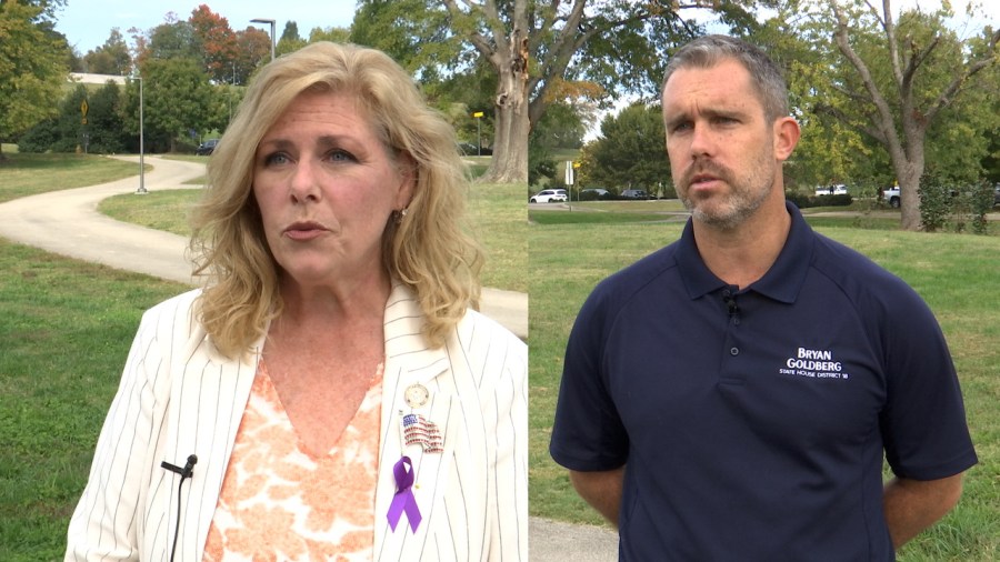 Meet the candidates running to represent Tennessee’s 18th District in ...