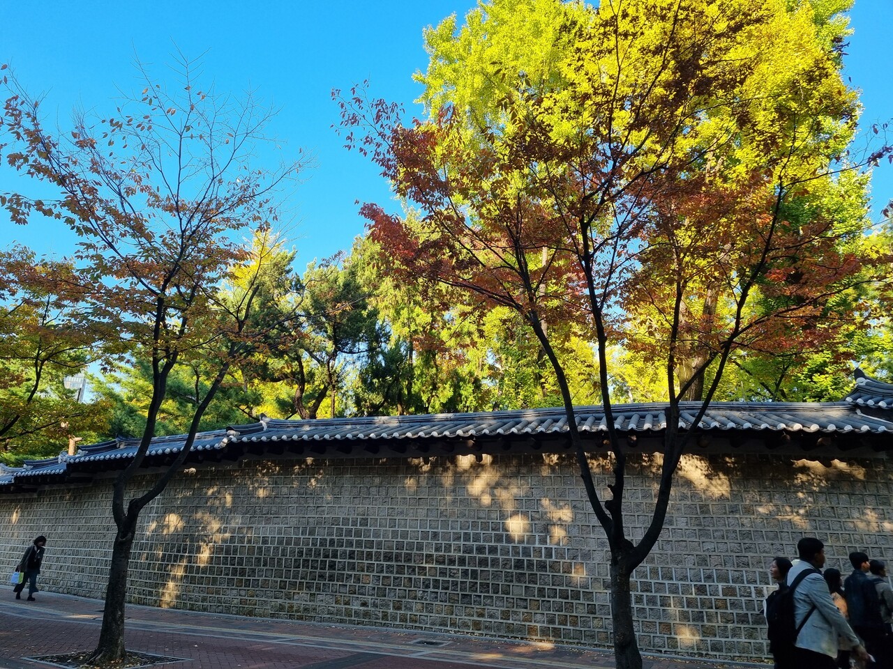 Seoul weather November 2026: Autumn leaves & cold snap
