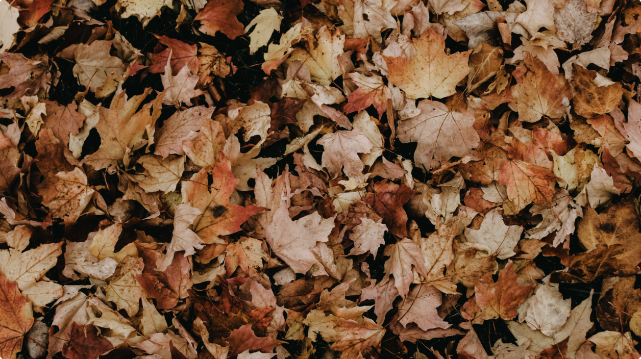 Attleboro announces 2 fall yard waste collection weeks