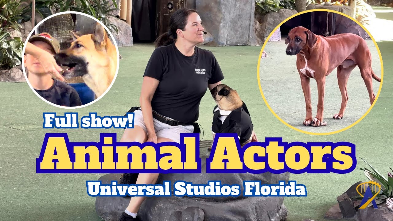 Full animal actors on location show at Universal Studios!