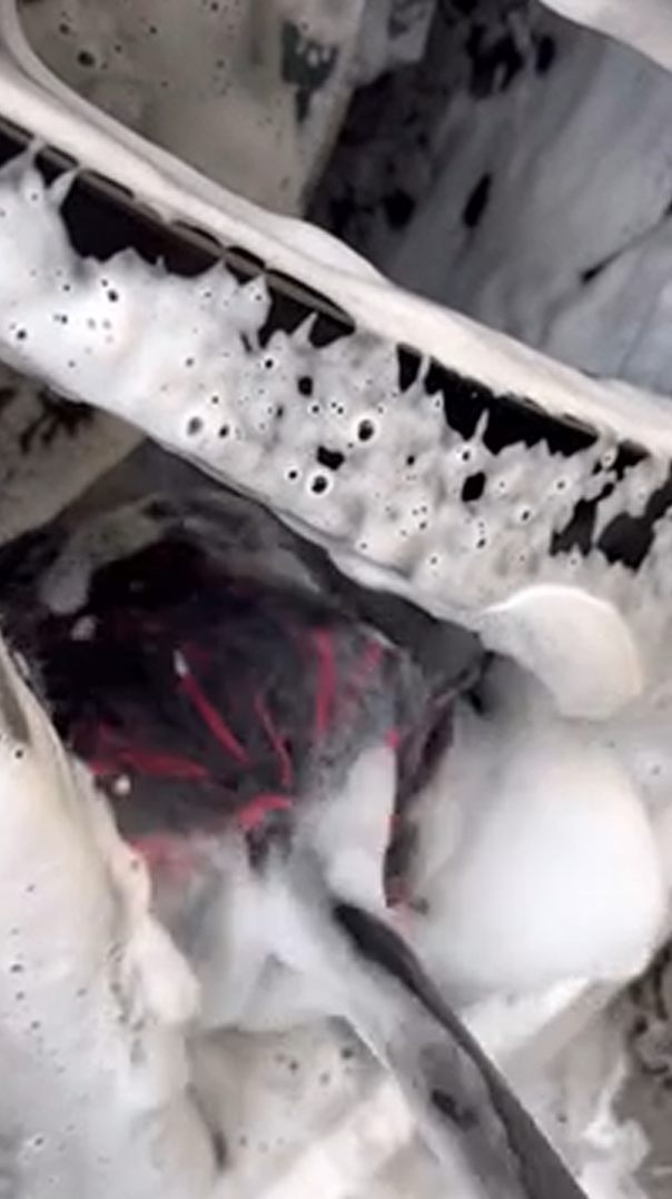 The cleaning process behind a professional car detailing transformation
