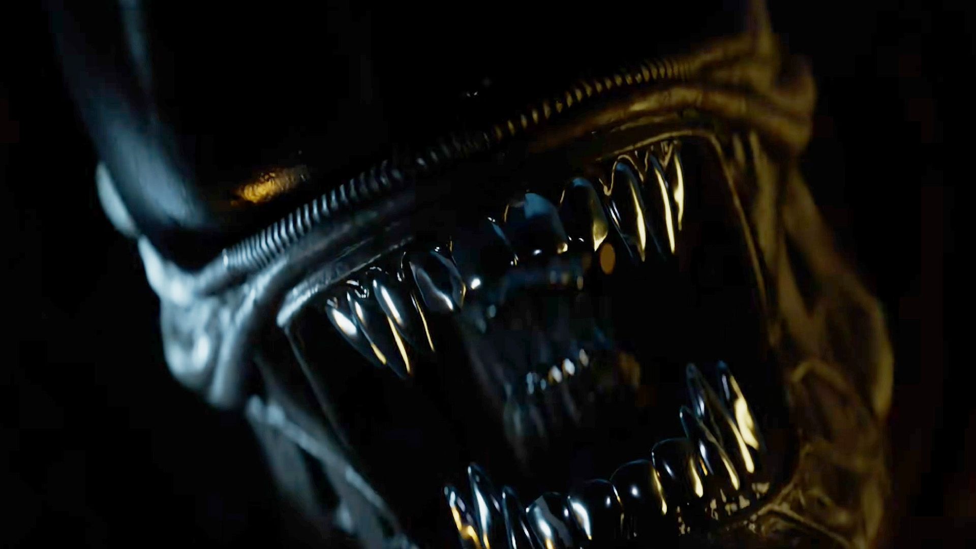 Alien: Isolation 2 issues official statement on physical release