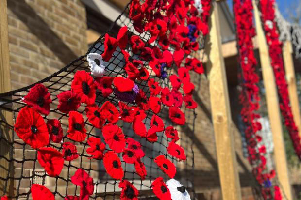 Chickerell remembrance display grows with hundreds of handmade poppies