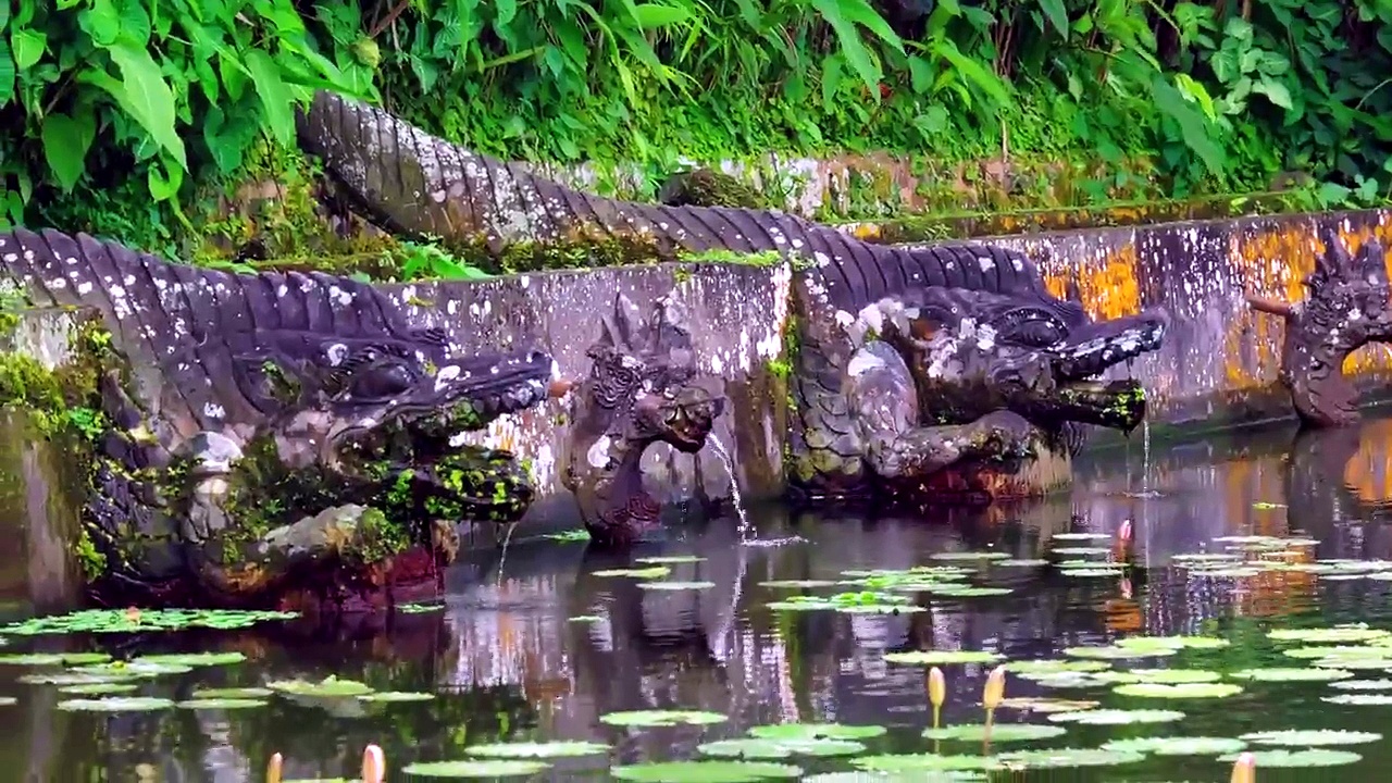 A closer look at the real animals behind the world's legendary beasts