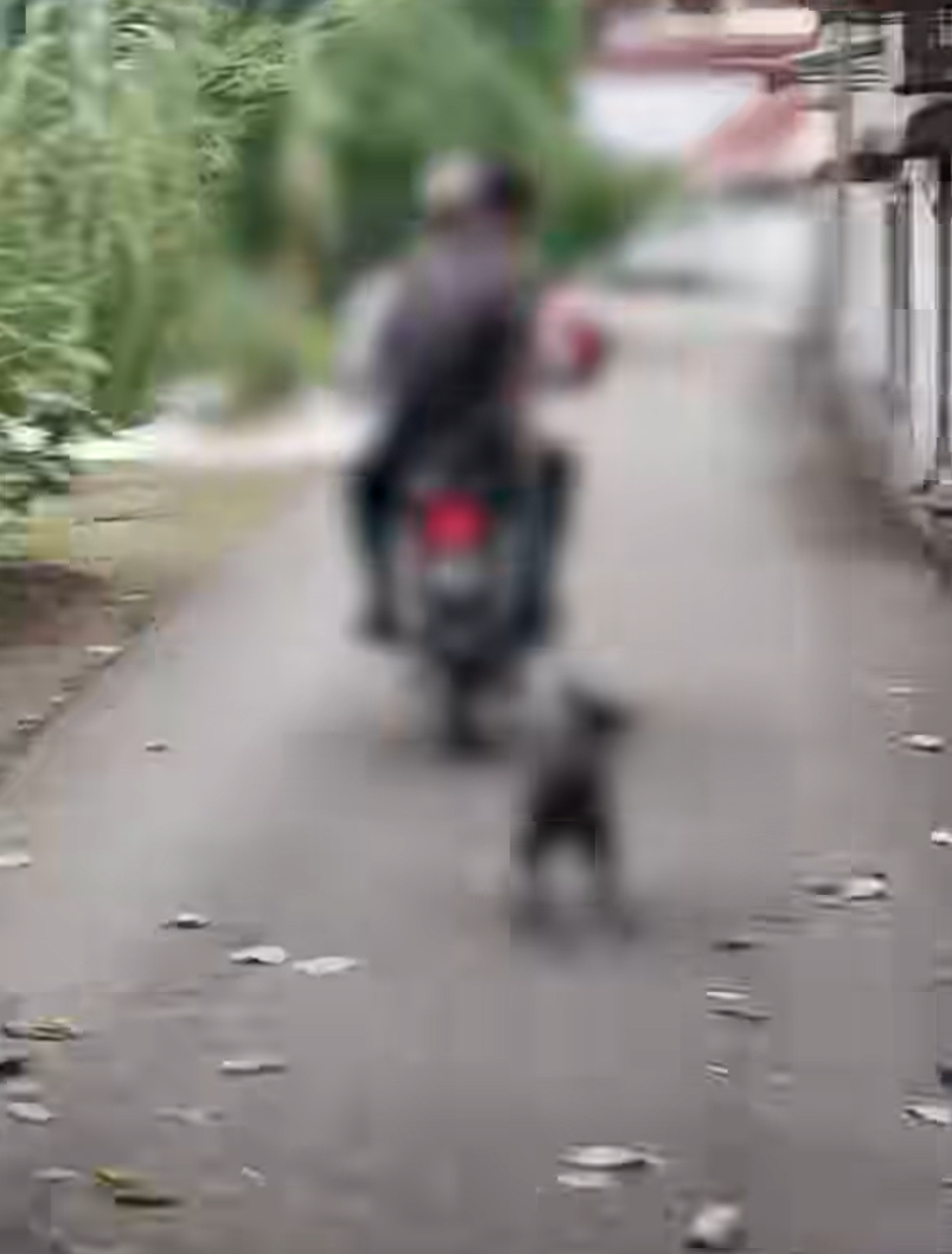 2 men charged in Malaysia after dog seen being dragged behind motorbike