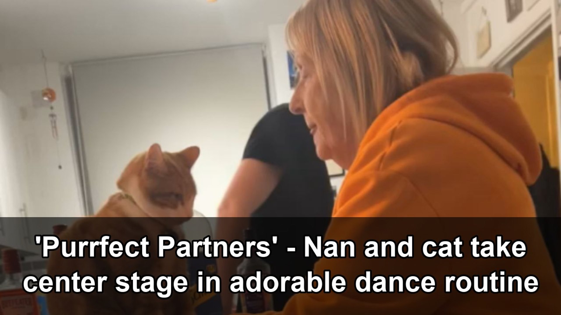 Nan and her cat steal the show with their unusual dance