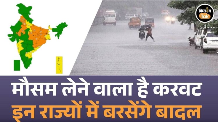 29 अक्टूबर को 15 राज्यों में होगी जोरदार बारिश! IMD ने जारी किया अलर्ट