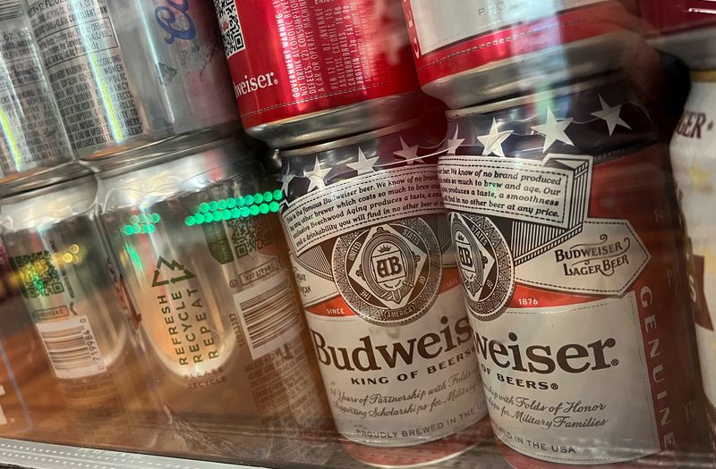Budweiser brewer AB InBev hits profit forecasts, but costs on the rise