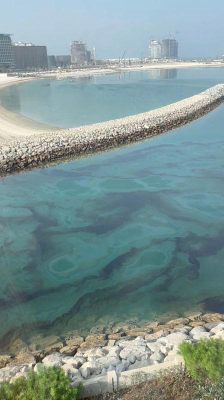 Explainer-how could the oil spill off the UAE coast affect desalination ...