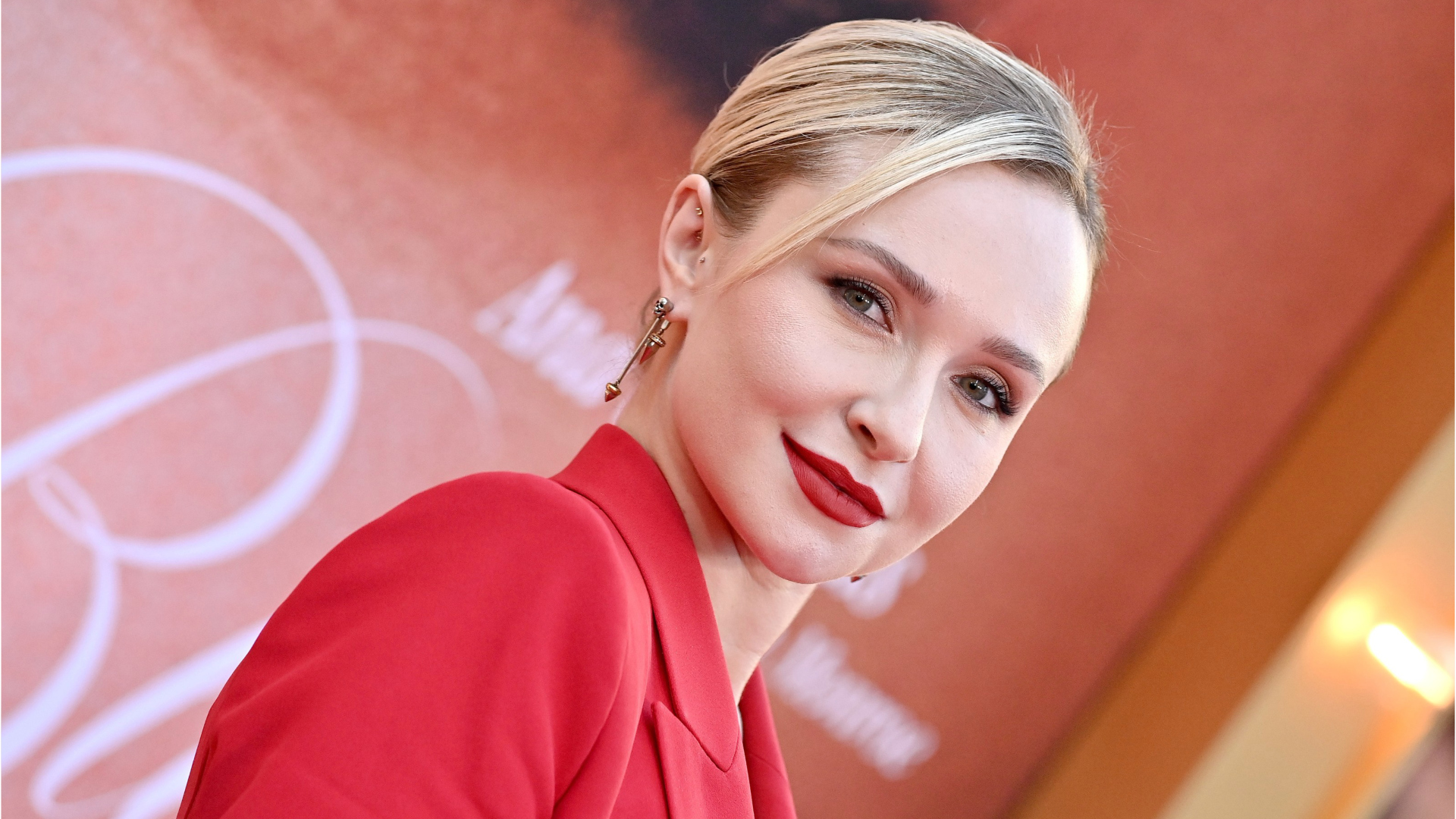 Police conclude investigation into Hayden Panettiere's death