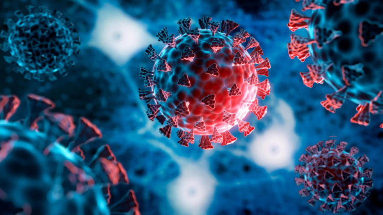 Could anti-inflammatory drugs help viruses spread more easily?