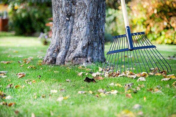 Sign everyone has seen on trees could mean a brutally cold December