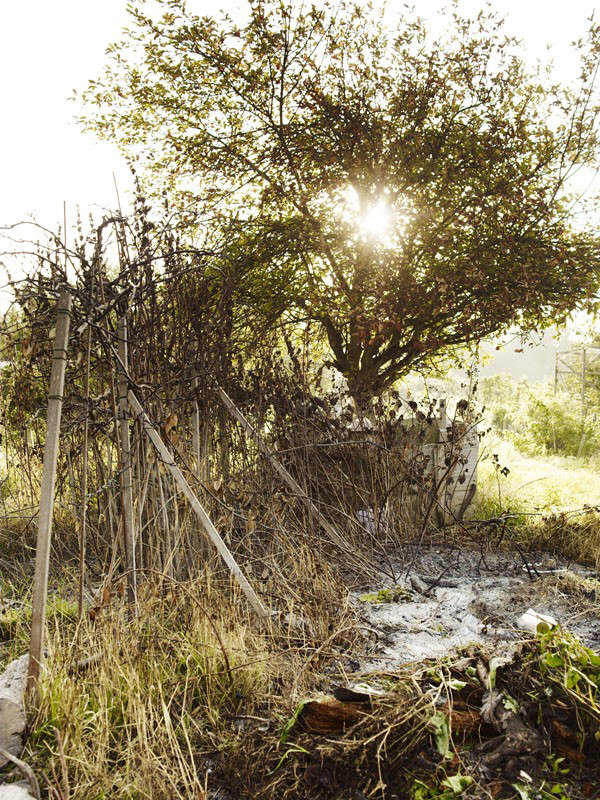 Off hours: How landscape design star Cleve West survives his day job