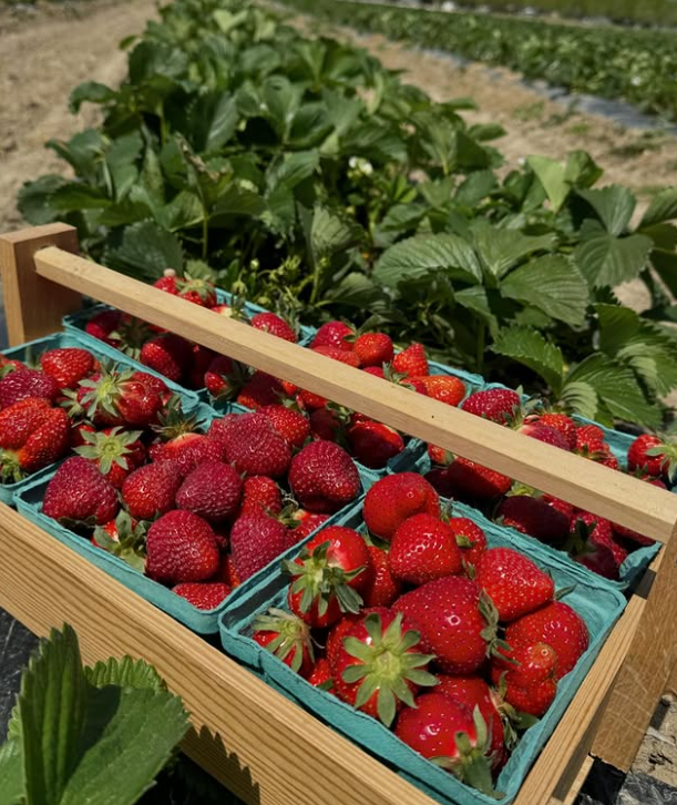 New local grocer The Farmer's Larder set to open in German Village