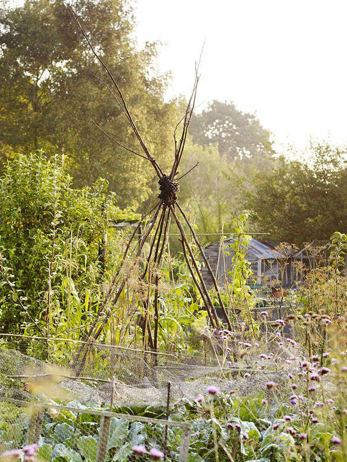 Off hours: How landscape design star Cleve West survives his day job