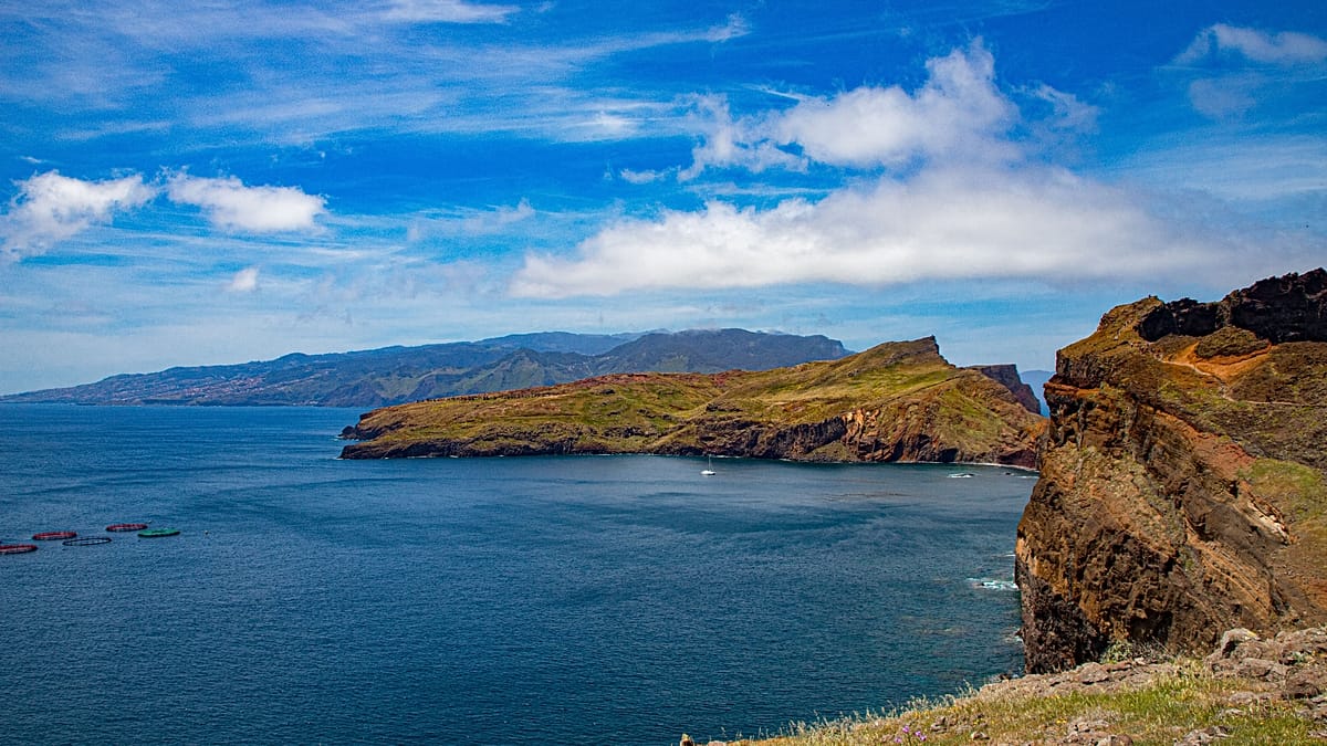 Madeira: Scientists study how marine protection is restoring ocean life