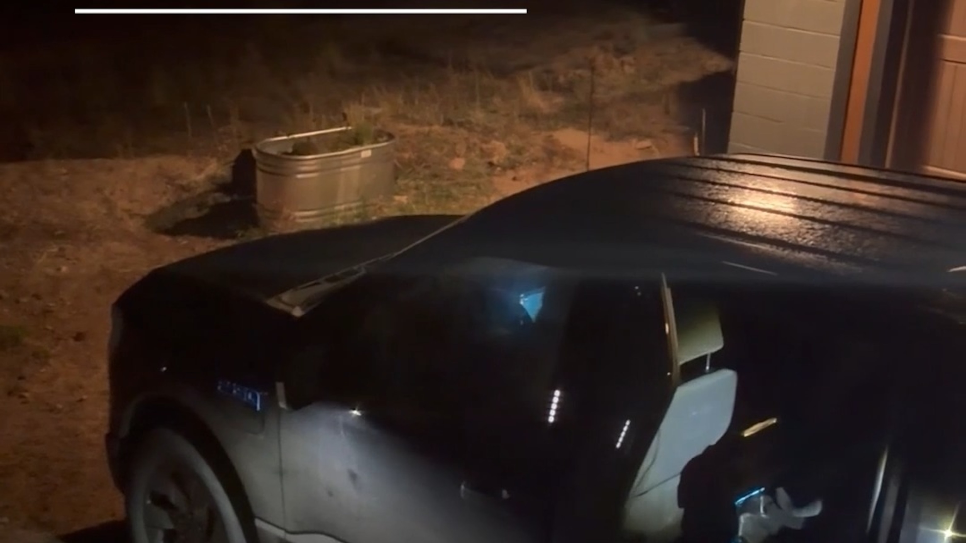 Bear cubs caught snacking in truck
