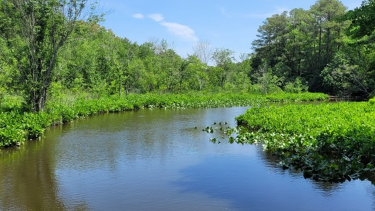 Henry F Porter Preserve deal: 181 acres permanently protected; cross ...