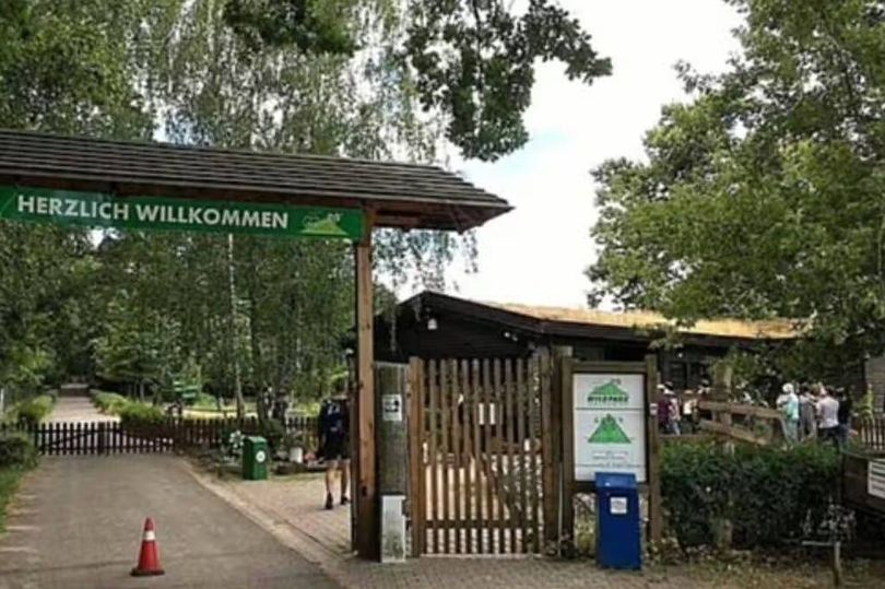 Girl, 8, airlifted to hospital after reported wolf attack at German zoo