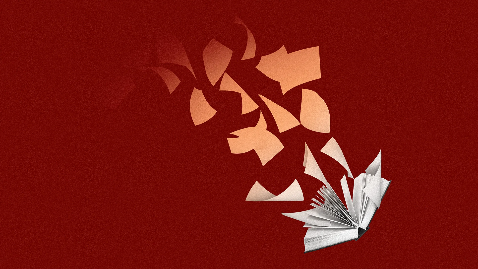 Bookstores are booming—what’s driving the analog renaissance?