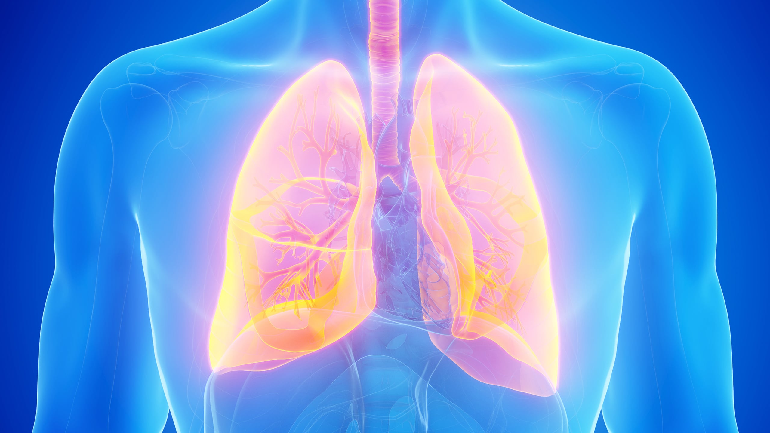 An overlooked immune cell killed the deadliest form of lung cancer in ...