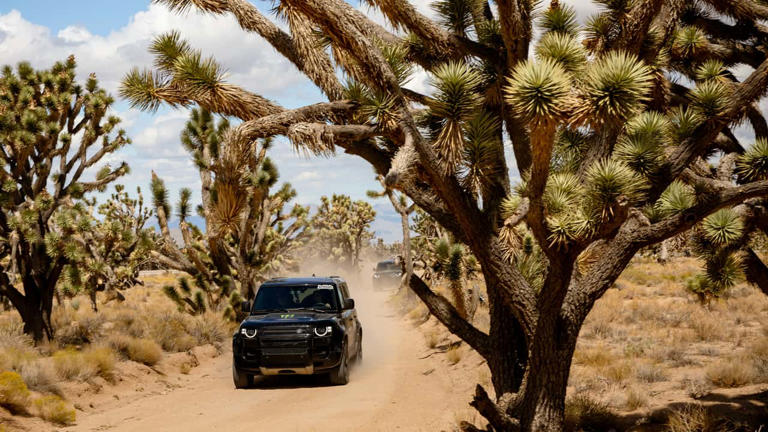 Rip and Dip Ranch is totally the off-road summer camp of your grown-up ...