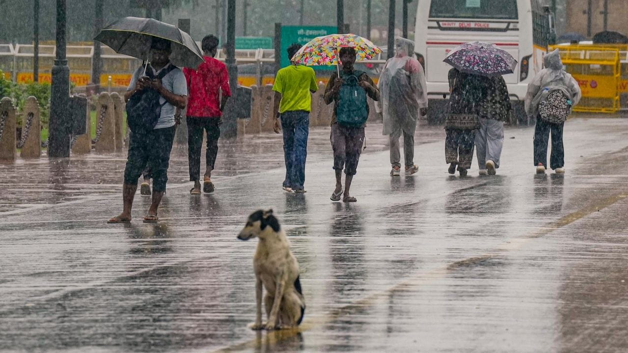 IMD issues red and orange alerts for parts of Delhi, rain may affect ...