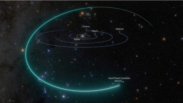 Beyond Neptune: 8,291 objects and new discoveries