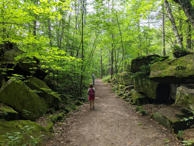 Banning State Park to close for a year for upgrades after surge in visitors