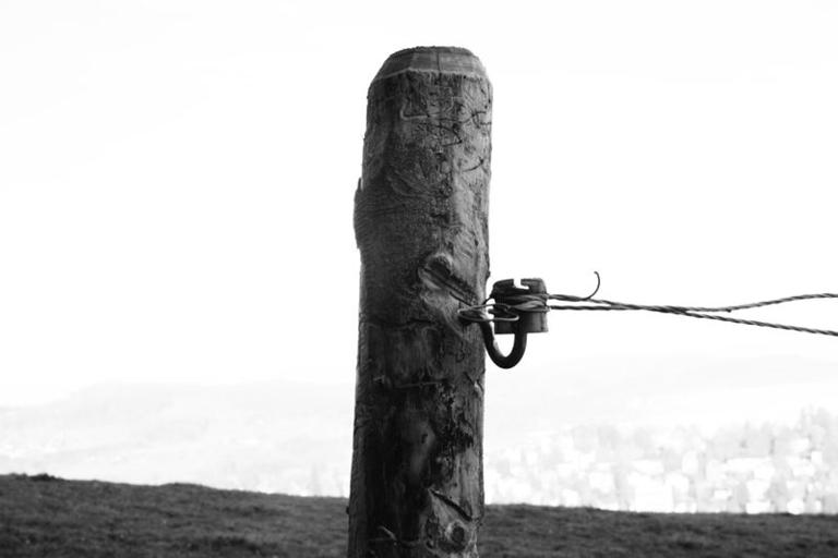 Which tools cut high-tensile fence wire, and how to repair a broken wire