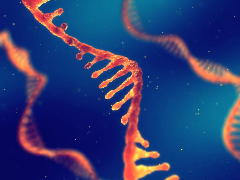 Colon cancer looks different in young people — and often more ...