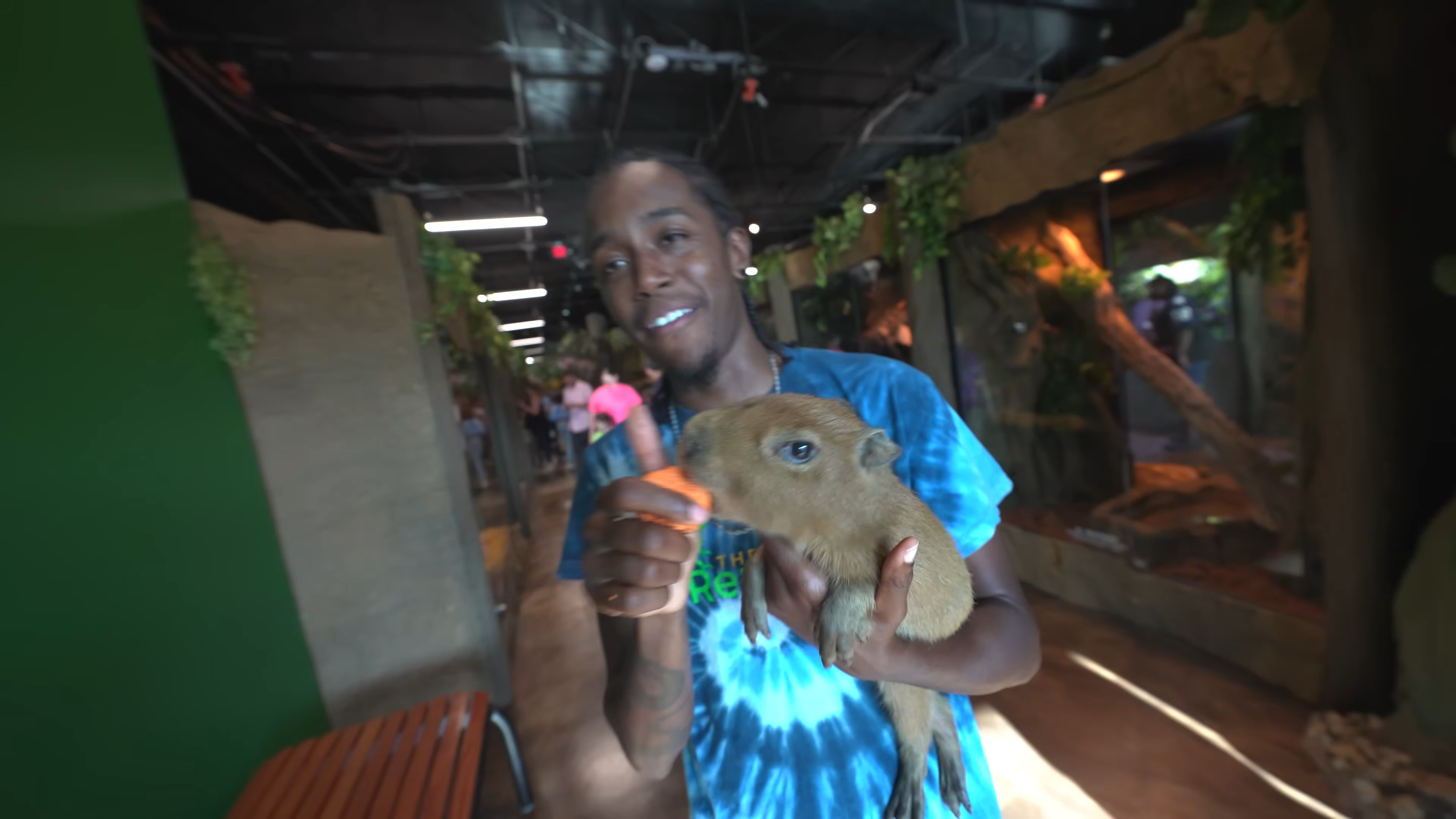 We planned a gender reveal… the baby capybara had other ideas