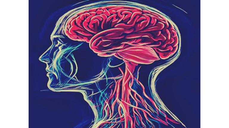 Before the warning sign: what your 30s can do for your brain