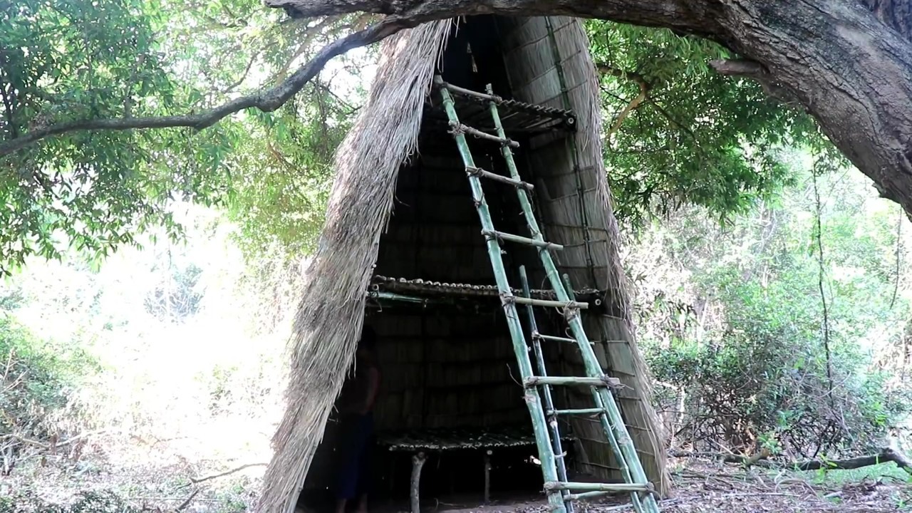 Three-story jungle tree house with bamboo ladder