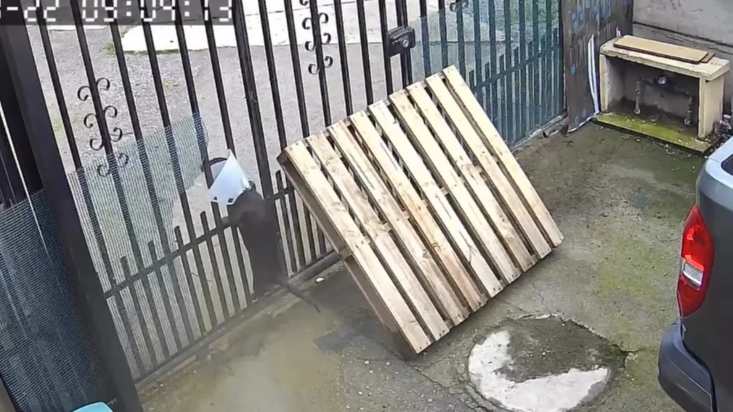 Dog owner discovers dachshund’s determined antics on CCTV