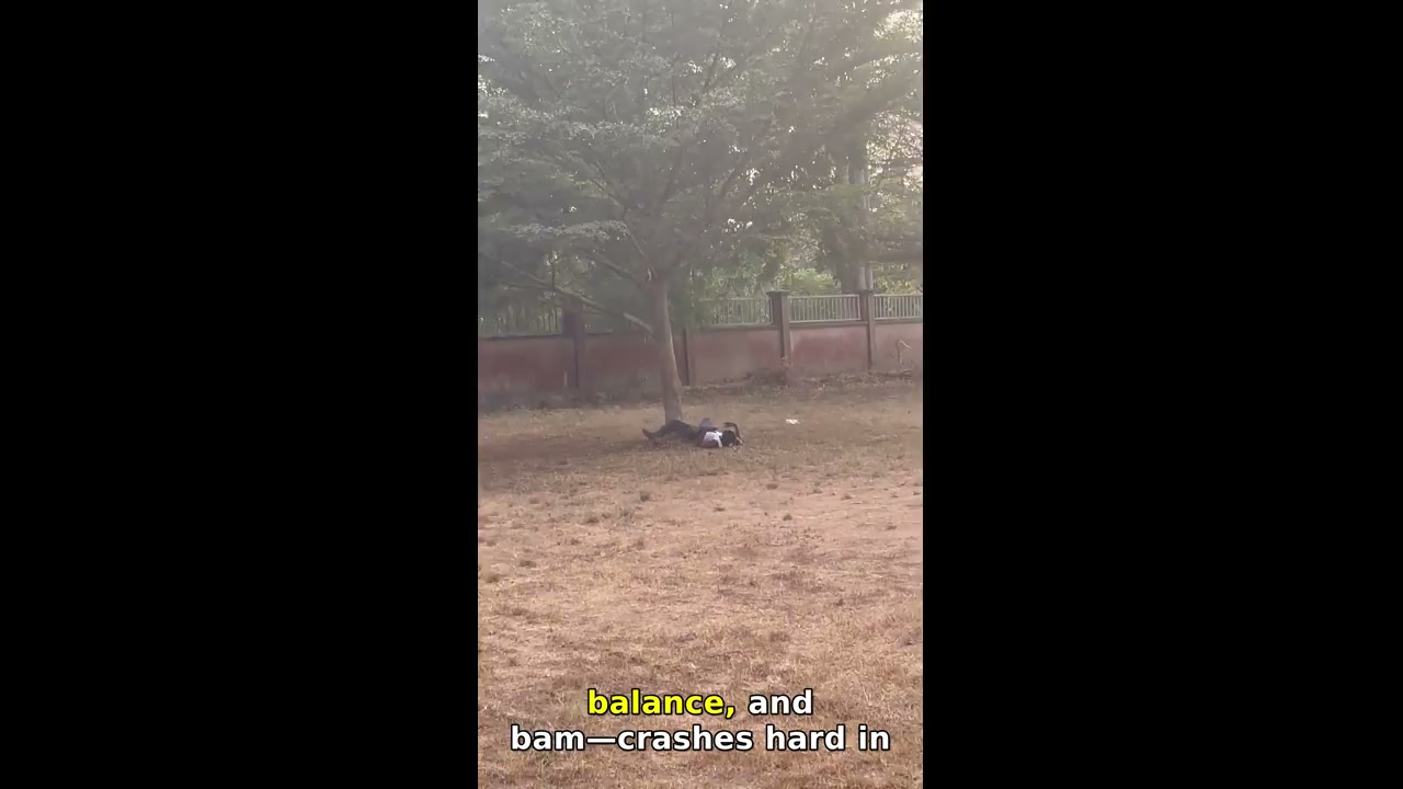 Person attempts tree trunk flip and falls in Ibadan