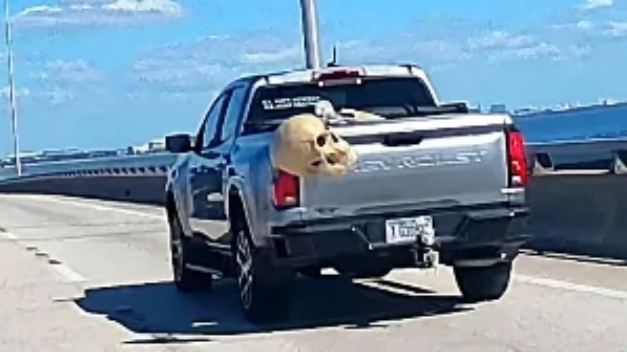 Skeleton head falls off a moving truck and rolls away