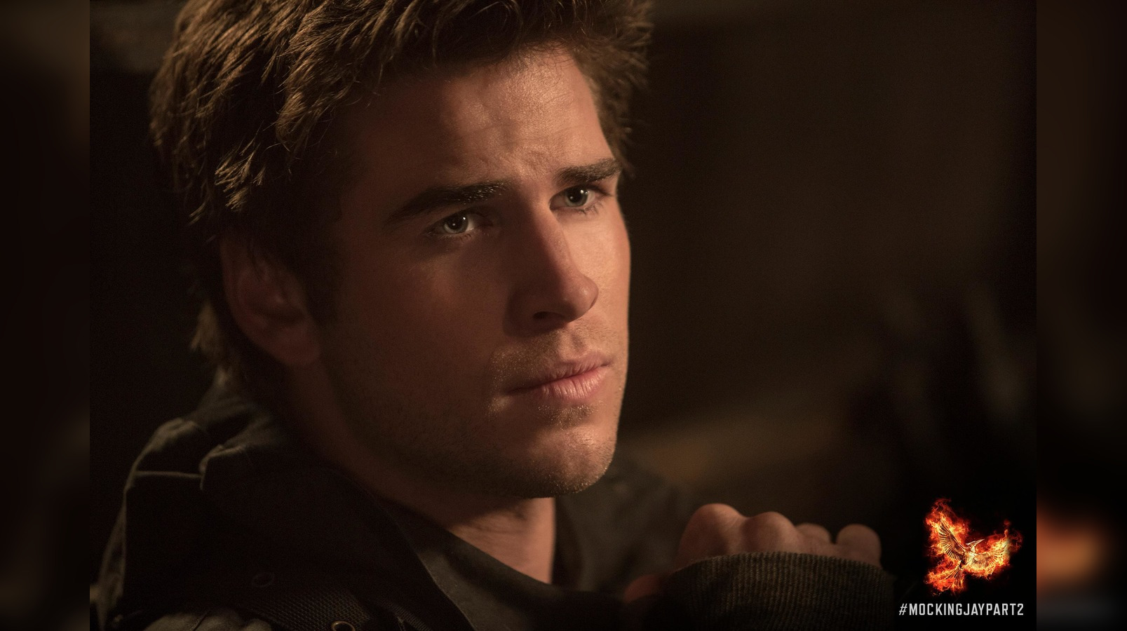 'Team Gale doesn't exist': Fans fire back at Jennifer Lawrence's Hunger ...