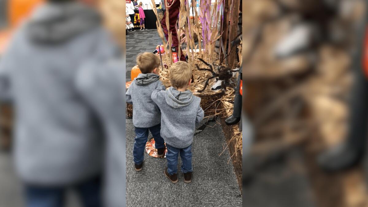 Little kid spooked by fake spider display at Halloween store