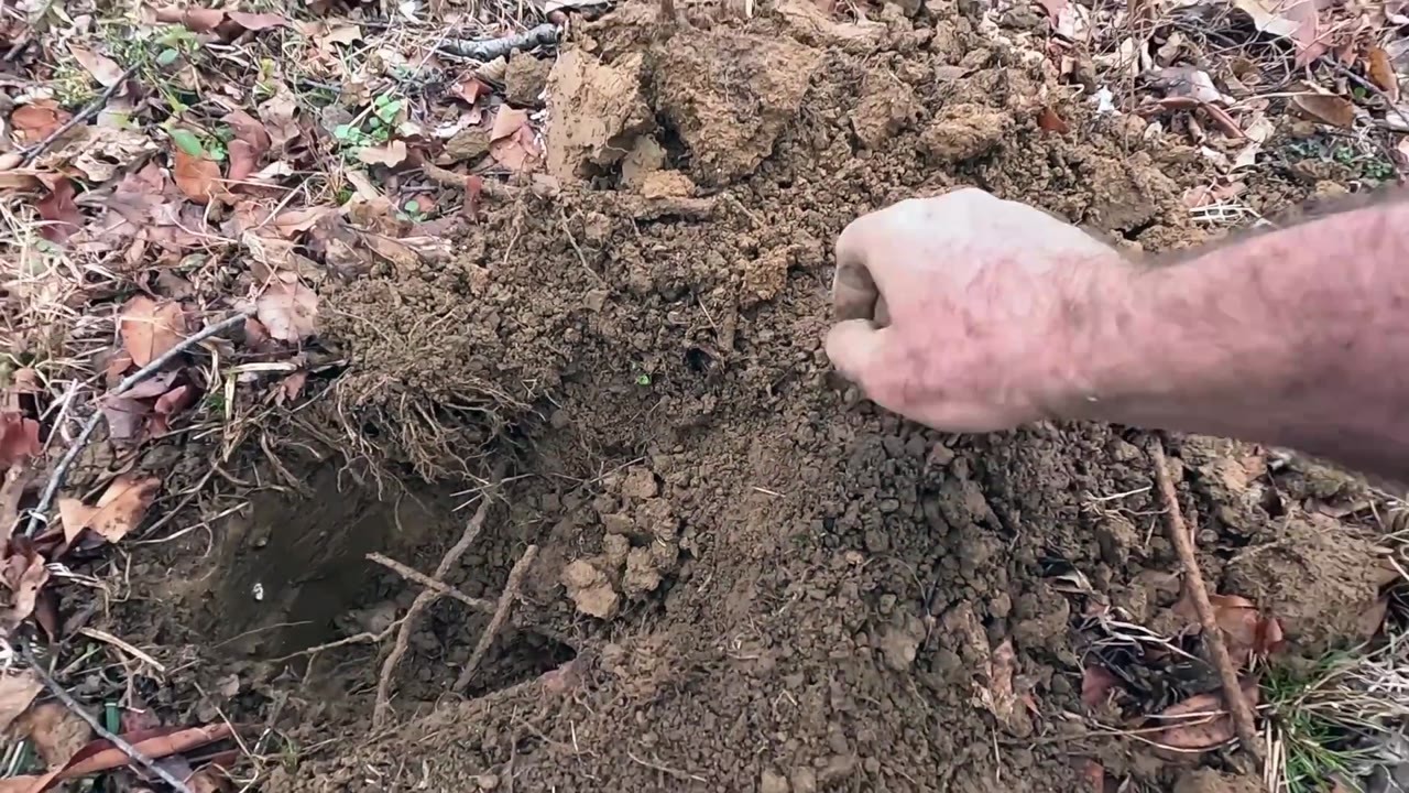 A new Civil War detecting site revealed .69-caliber musket balls ...
