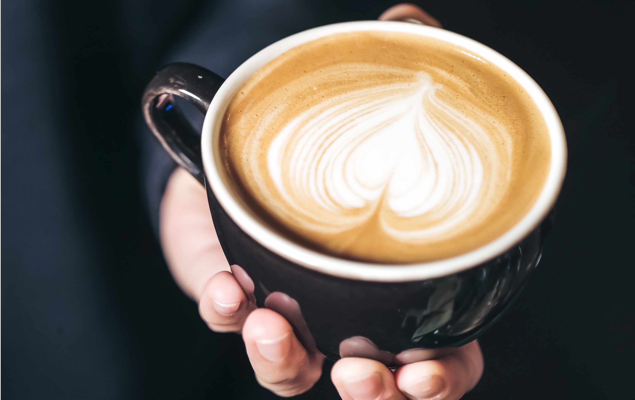 Ausgerechnet Oatly erhält schlechteste Note: Barista-Haferdrinks im Test
