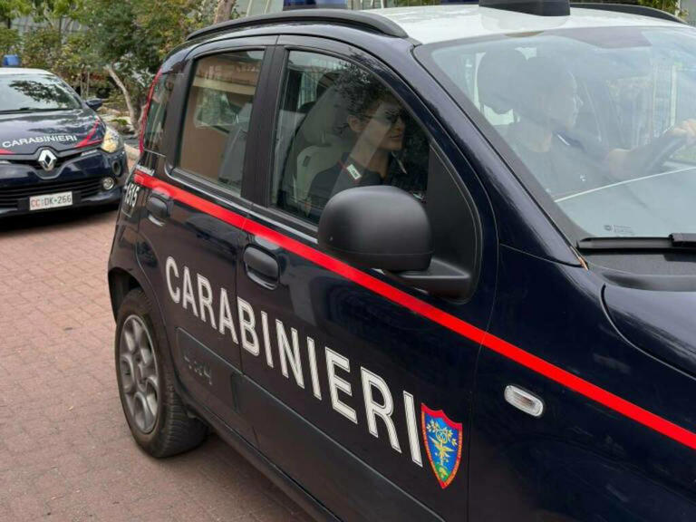 Utilizzo irregolare dei gas fluorurati, controlli dei carabinieri ...
