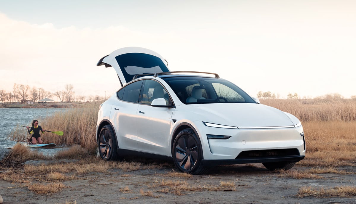 Green NCAP: Tesla Model Y und BYD Dolphin Surf überzeugen bei ...