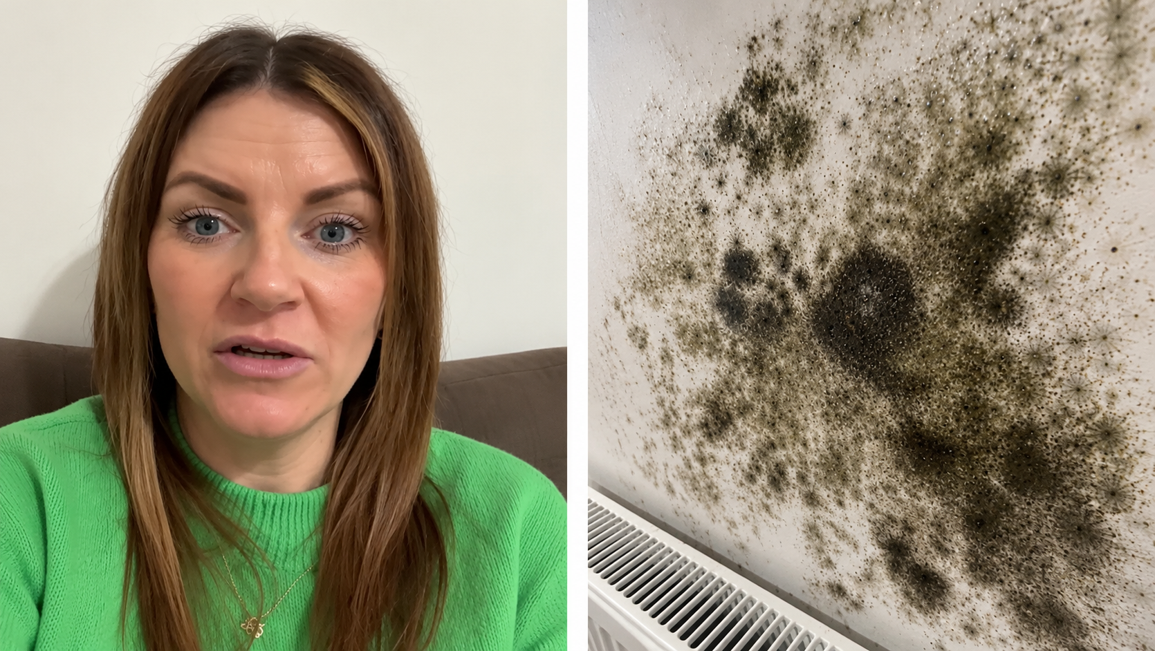 Tenant complains about mold for three months - then the landlord hands ...