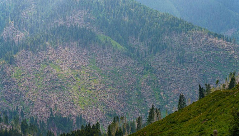 Venti fino a 210 km/h sulle Alpi italiane, esondazioni e acqua alta ...