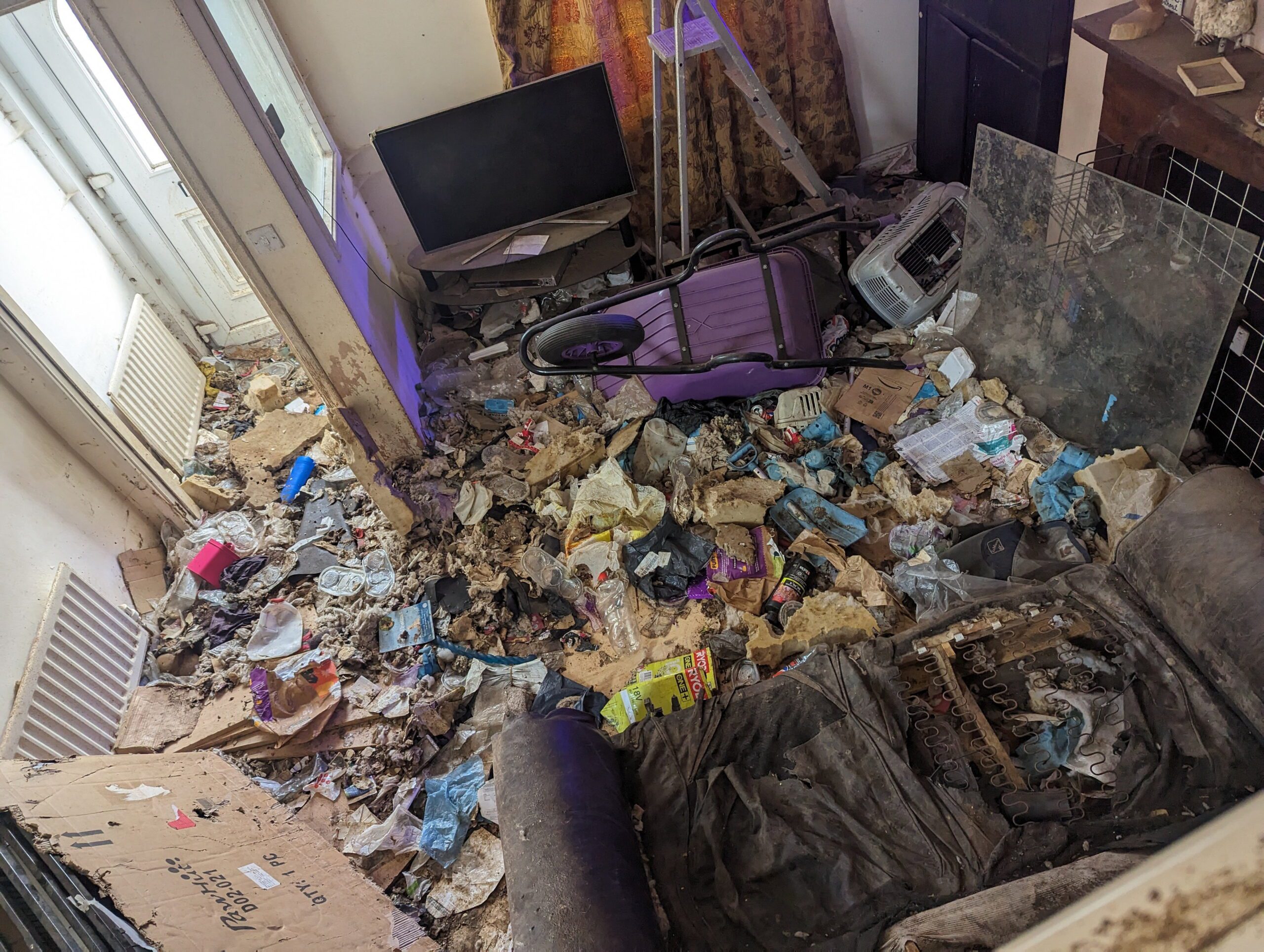 Animals lived in faeces-covered home of ex-GP